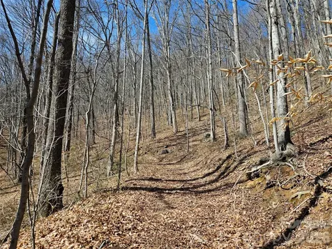 1200 Rocky Knob Road Waynesville NC 28786