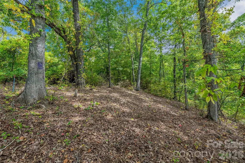 1380 Seven Glens Drive Weaverville NC 28787