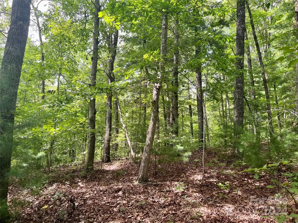 377 Jake Taylor Road Murphy NC 28906