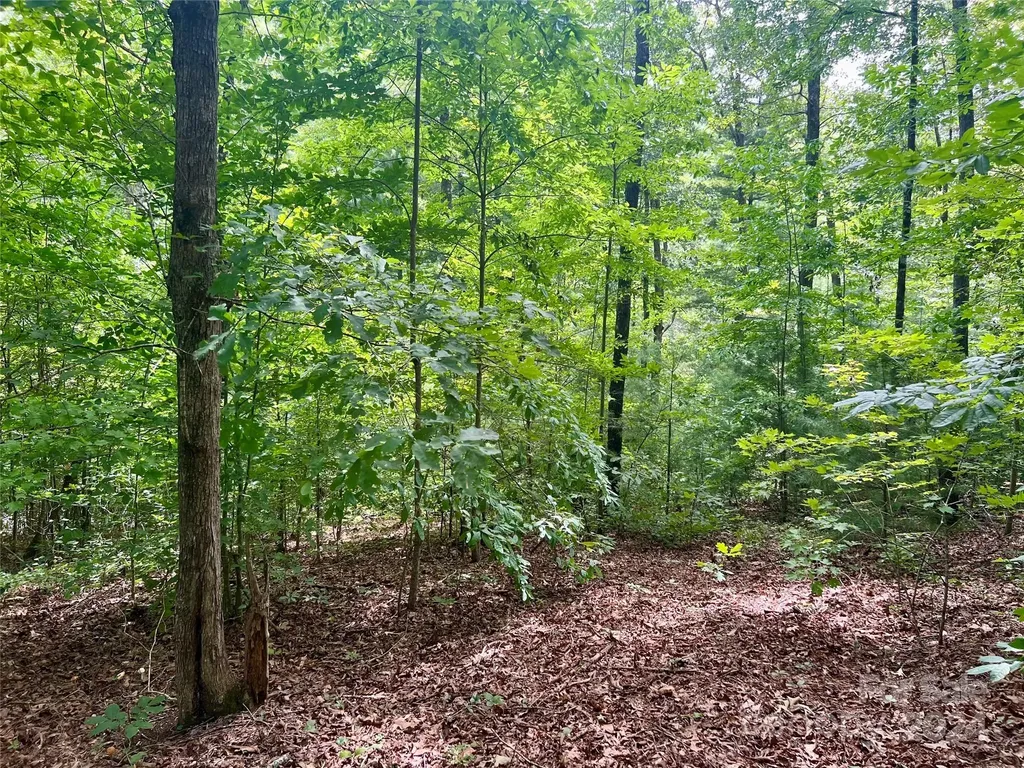 377 Jake Taylor Road Murphy NC 28906