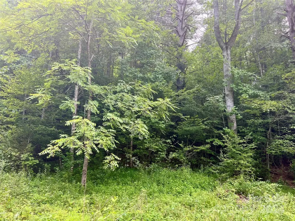377 Jake Taylor Road Murphy NC 28906