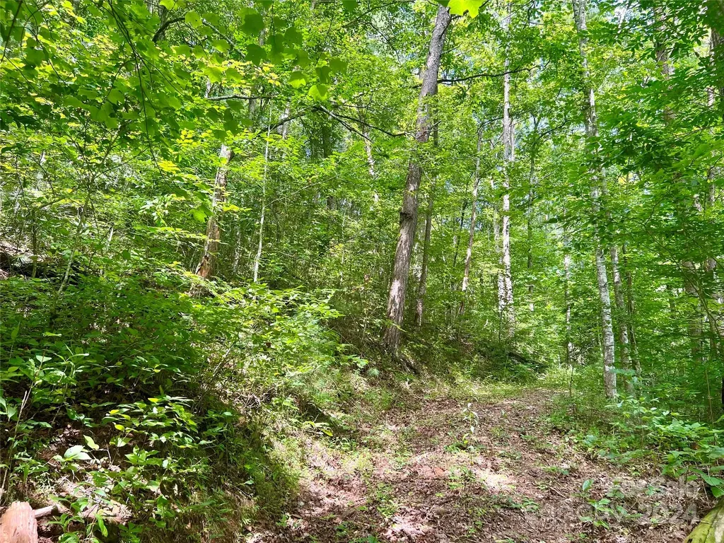 377 Jake Taylor Road Murphy NC 28906