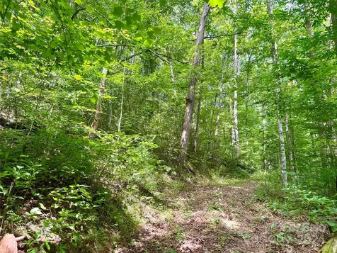 377 Jake Taylor Road Murphy NC 28906