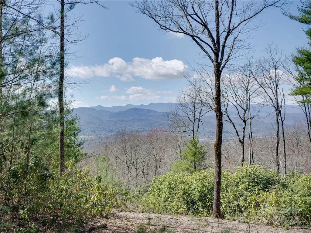 8B Reserve Road Pisgah Forest NC 28768