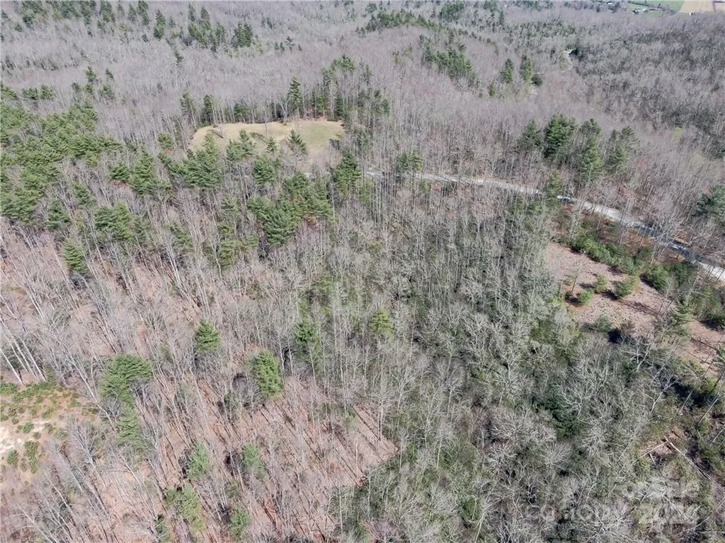8B Reserve Road Pisgah Forest NC 28768
