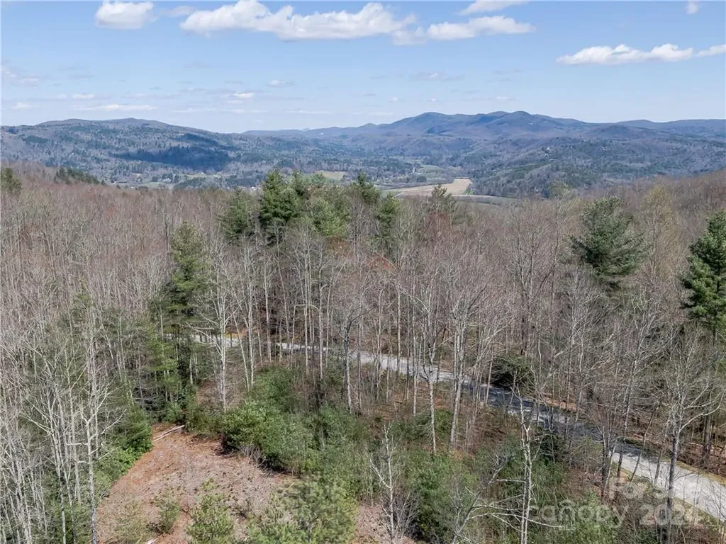 8B Reserve Road Pisgah Forest NC 28768