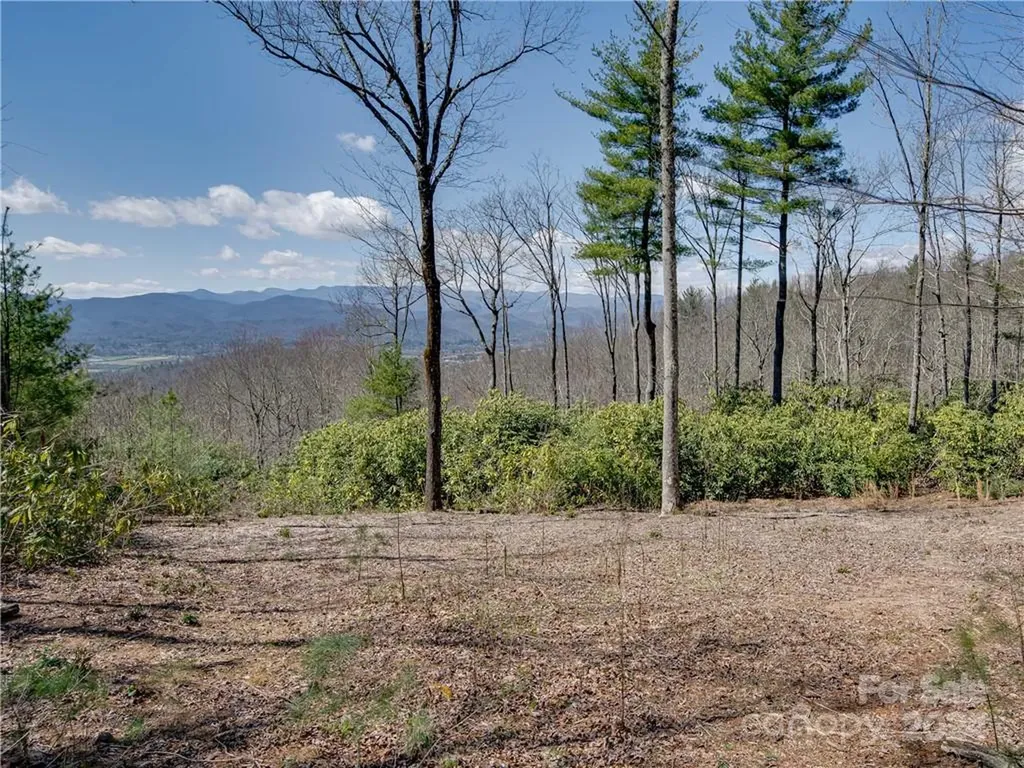 8B Reserve Road Pisgah Forest NC 28768