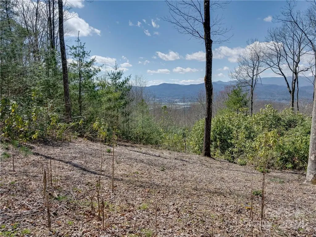 8B Reserve Road Pisgah Forest NC 28768