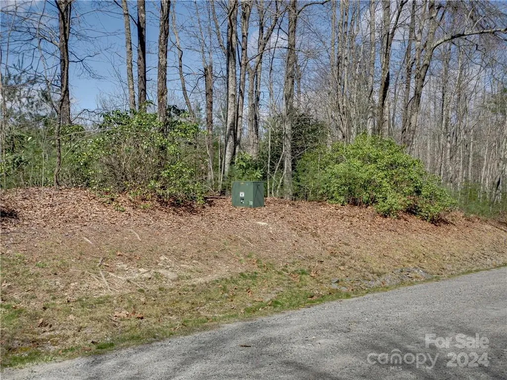 8B Reserve Road Pisgah Forest NC 28768