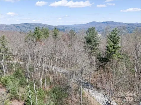 8B Reserve Road Pisgah Forest NC 28768