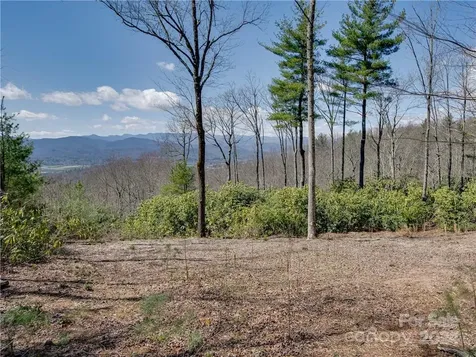 8B Reserve Road Pisgah Forest NC 28768