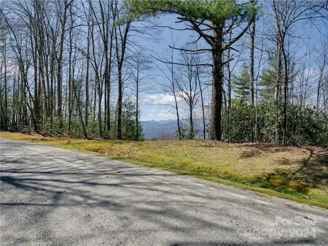 8B Reserve Road Pisgah Forest NC 28768