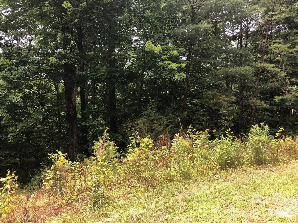 0 Crossings Drive S Marion NC 28752