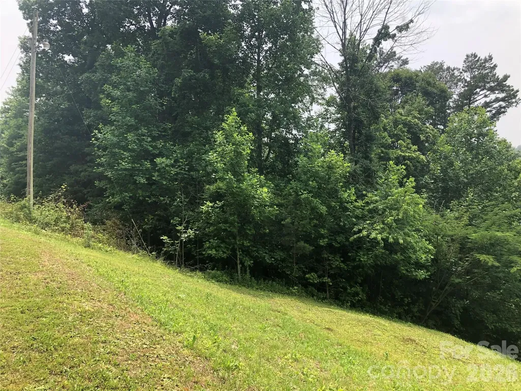 0 Crossings Drive S Marion NC 28752