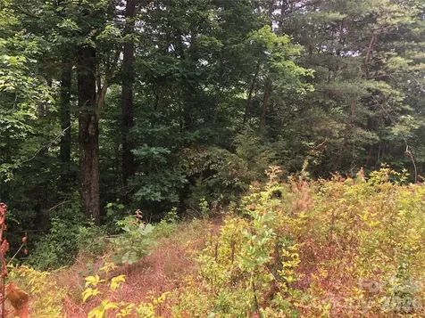 0 Crossings Drive S Marion NC 28752