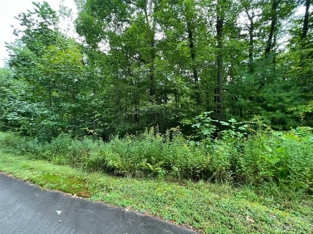103 Laurel Thicket Lane Brevard NC 28712