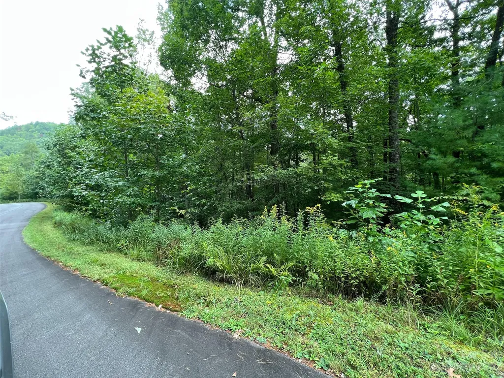 103 Laurel Thicket Lane Brevard NC 28712