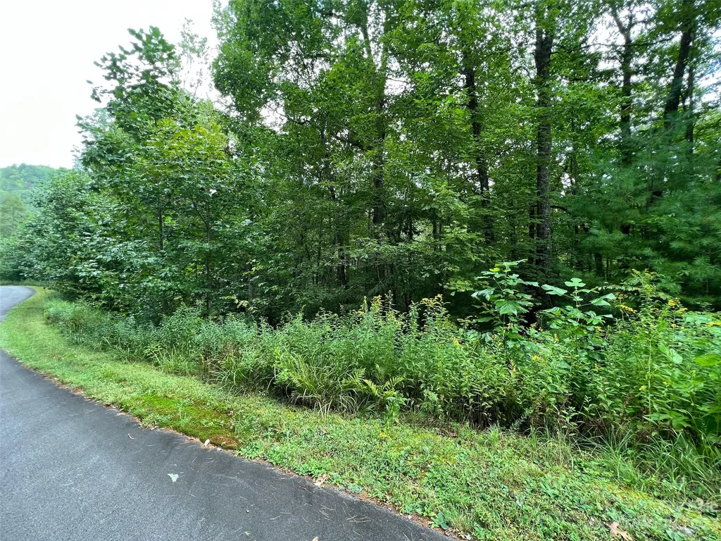 103 Laurel Thicket Lane Brevard NC 28712