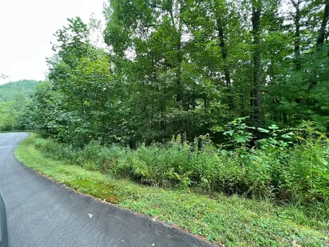 103 Laurel Thicket Lane Brevard NC 28712
