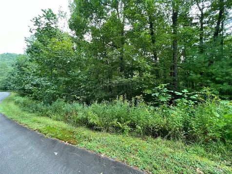 103 Laurel Thicket Lane Brevard NC 28712