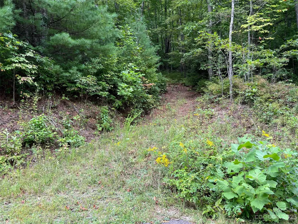 106 Green Hollow Lane Brevard NC 28712