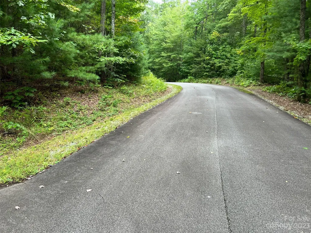 106 Green Hollow Lane Brevard NC 28712
