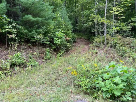 106 Green Hollow Lane Brevard NC 28712