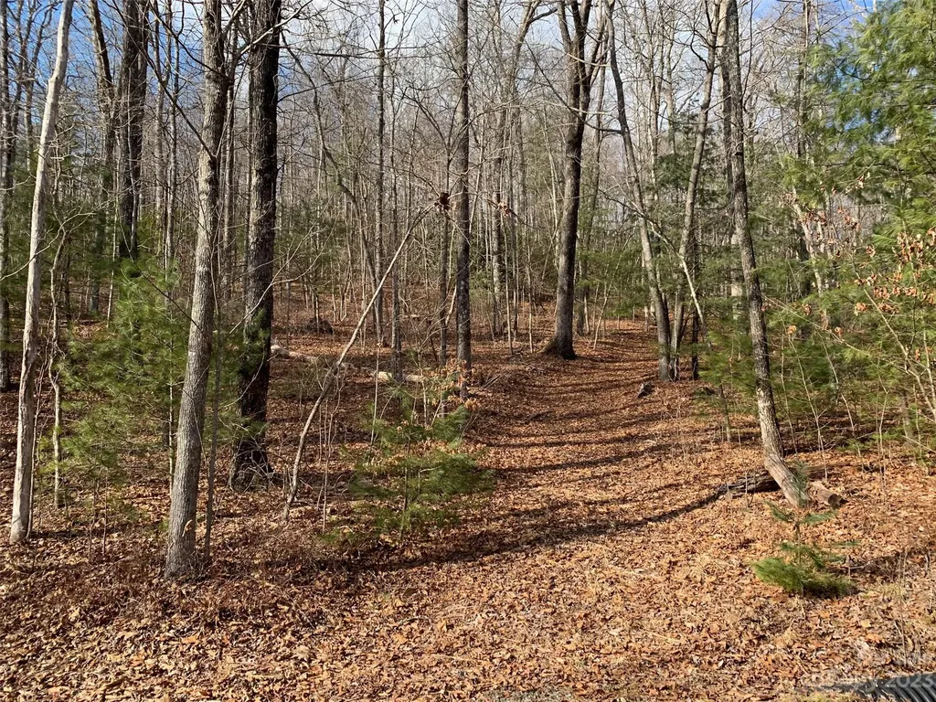 91 Laurel Thicket Lane Brevard NC 28712