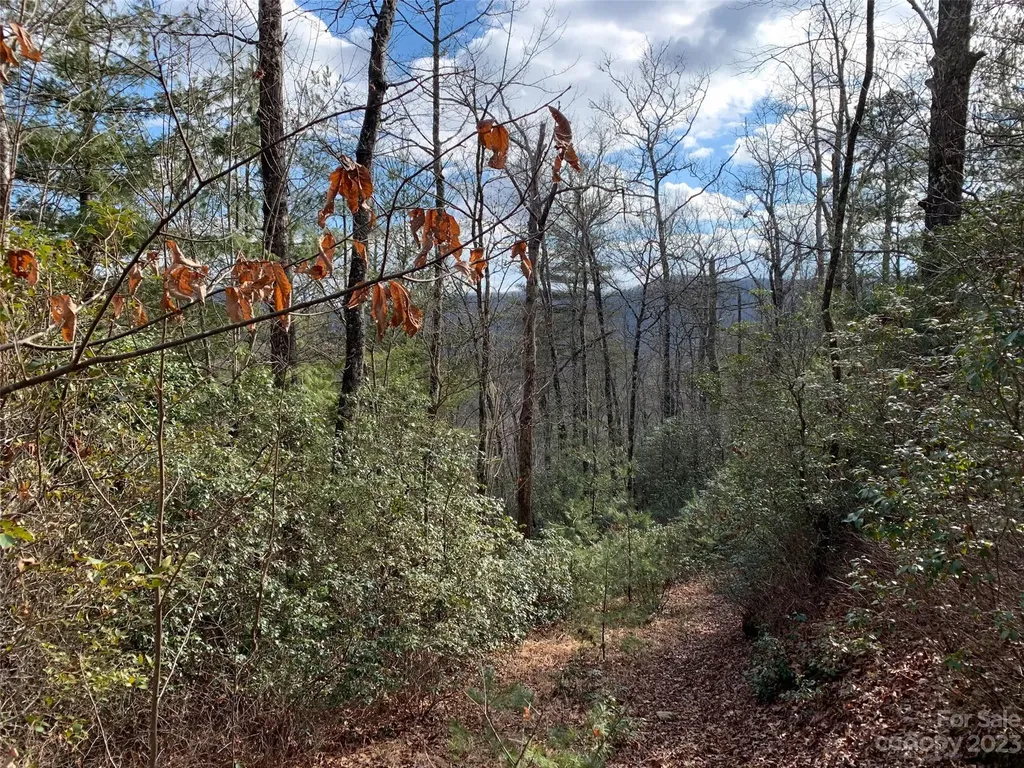 91 Laurel Thicket Lane Brevard NC 28712
