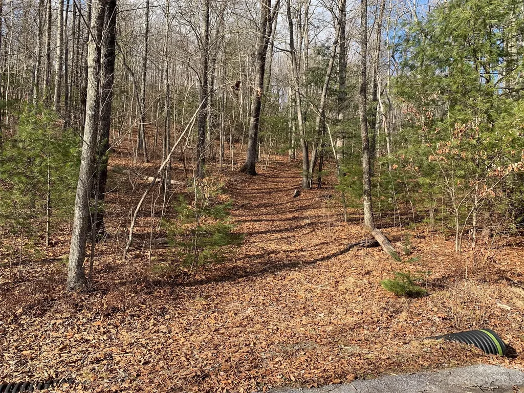 91 Laurel Thicket Lane Brevard NC 28712
