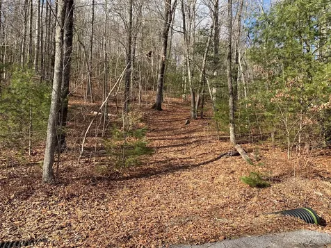 91 Laurel Thicket Lane Brevard NC 28712