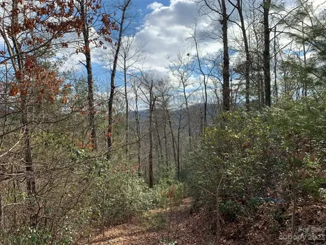 91 Laurel Thicket Lane Brevard NC 28712