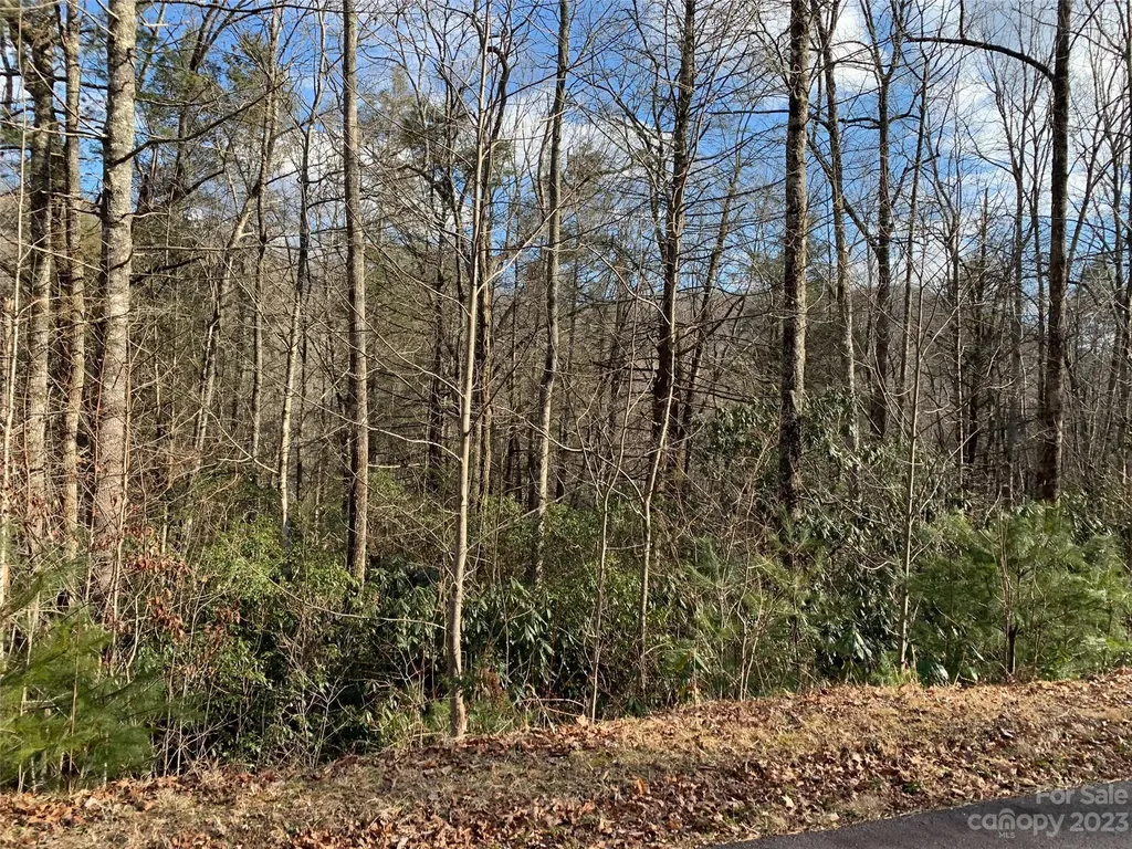 126 Green Hollow Lane Brevard NC 28712
