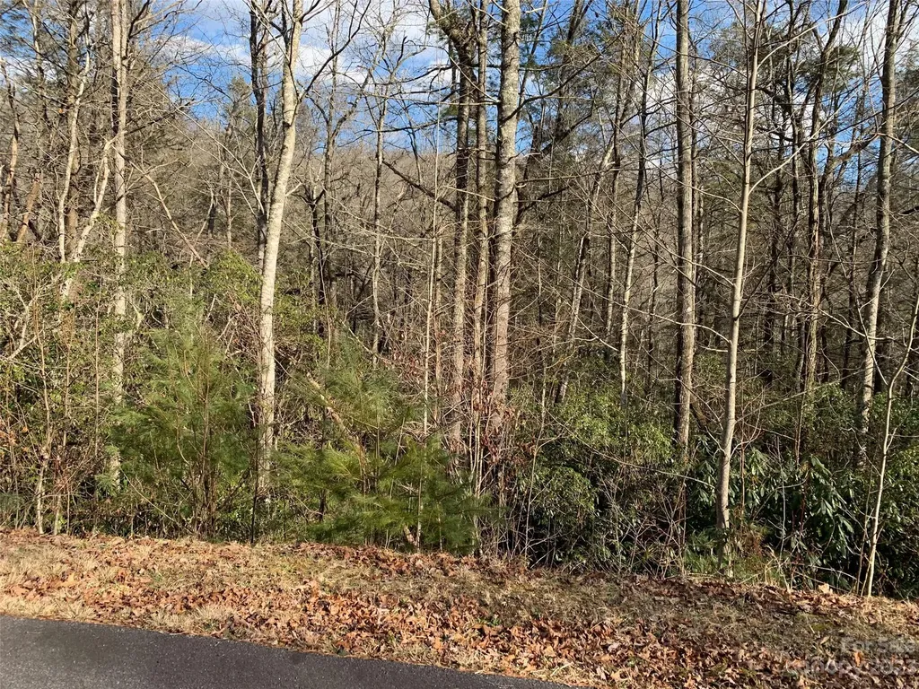 126 Green Hollow Lane Brevard NC 28712