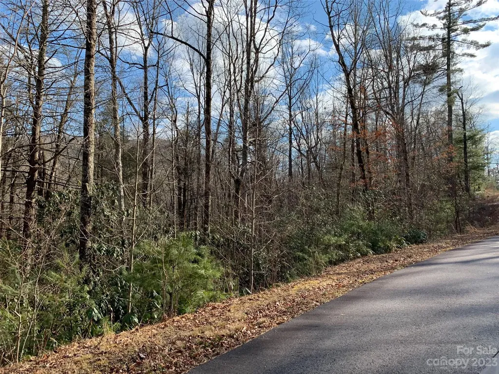 126 Green Hollow Lane Brevard NC 28712