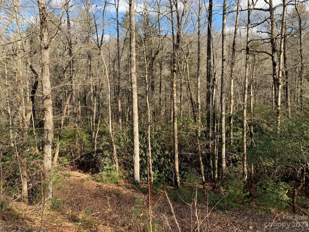 126 Green Hollow Lane Brevard NC 28712