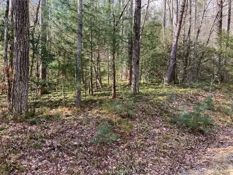 126 Green Hollow Lane Brevard NC 28712