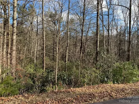 126 Green Hollow Lane Brevard NC 28712