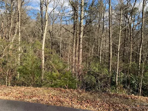 126 Green Hollow Lane Brevard NC 28712