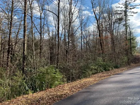 126 Green Hollow Lane Brevard NC 28712