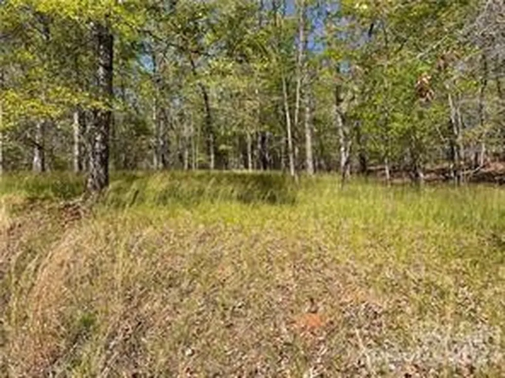 0000 Zackary Lane Rutherfordton NC 28139