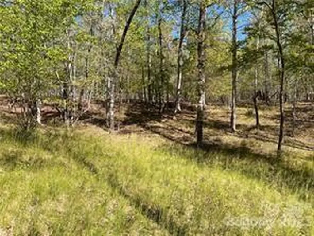 0000 Zackary Lane Rutherfordton NC 28139
