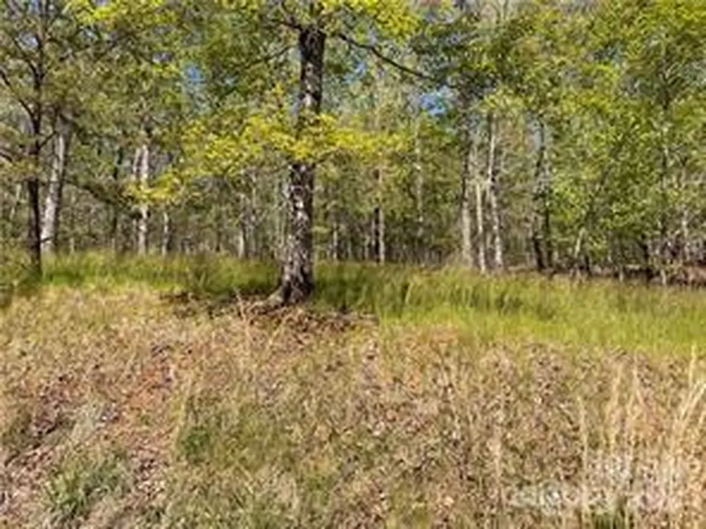 0000 Zackary Lane Rutherfordton NC 28139