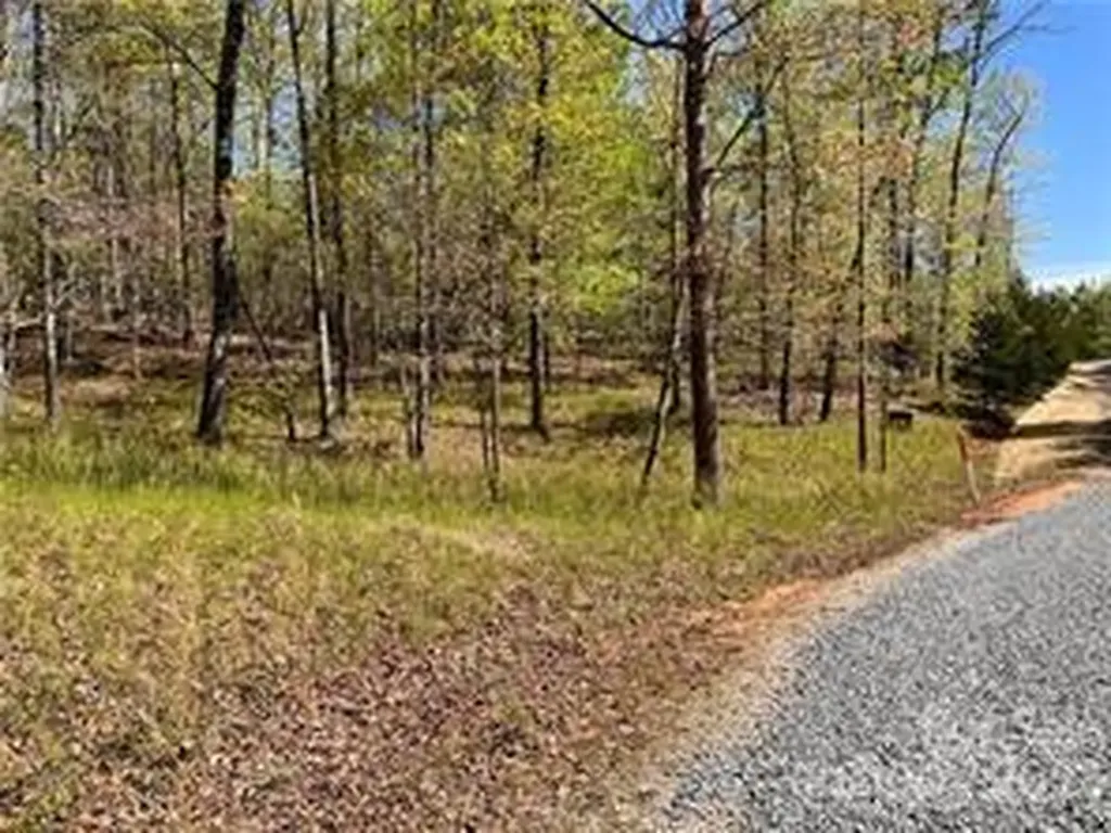 0000 Zackary Lane Rutherfordton NC 28139