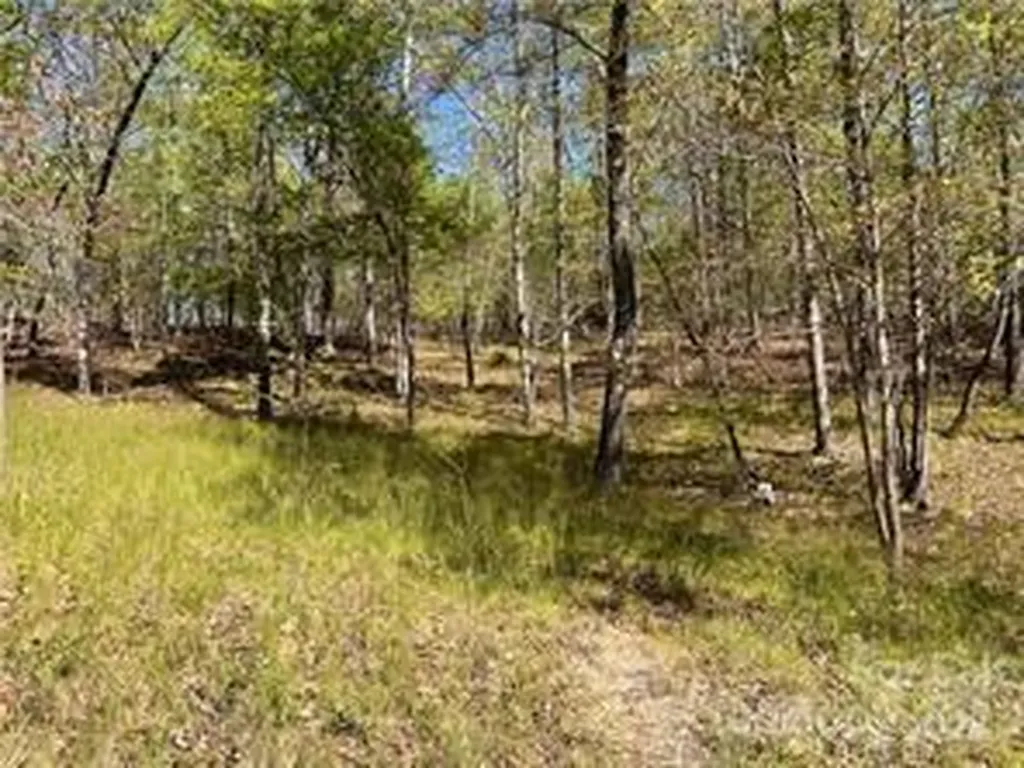 0000 Zackary Lane Rutherfordton NC 28139