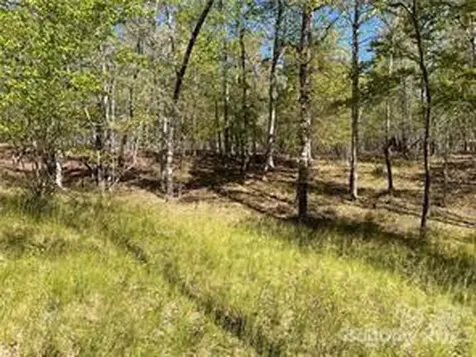 0000 Zackary Lane Rutherfordton NC 28139
