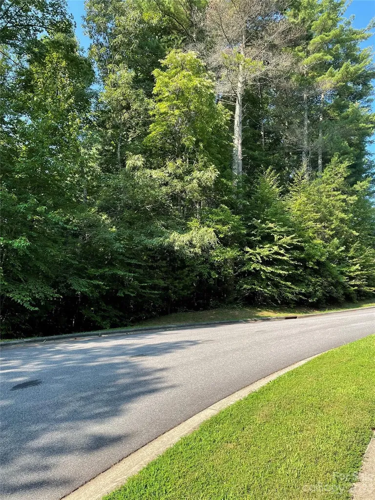 V48&49 Camptown Road Brevard NC 28712