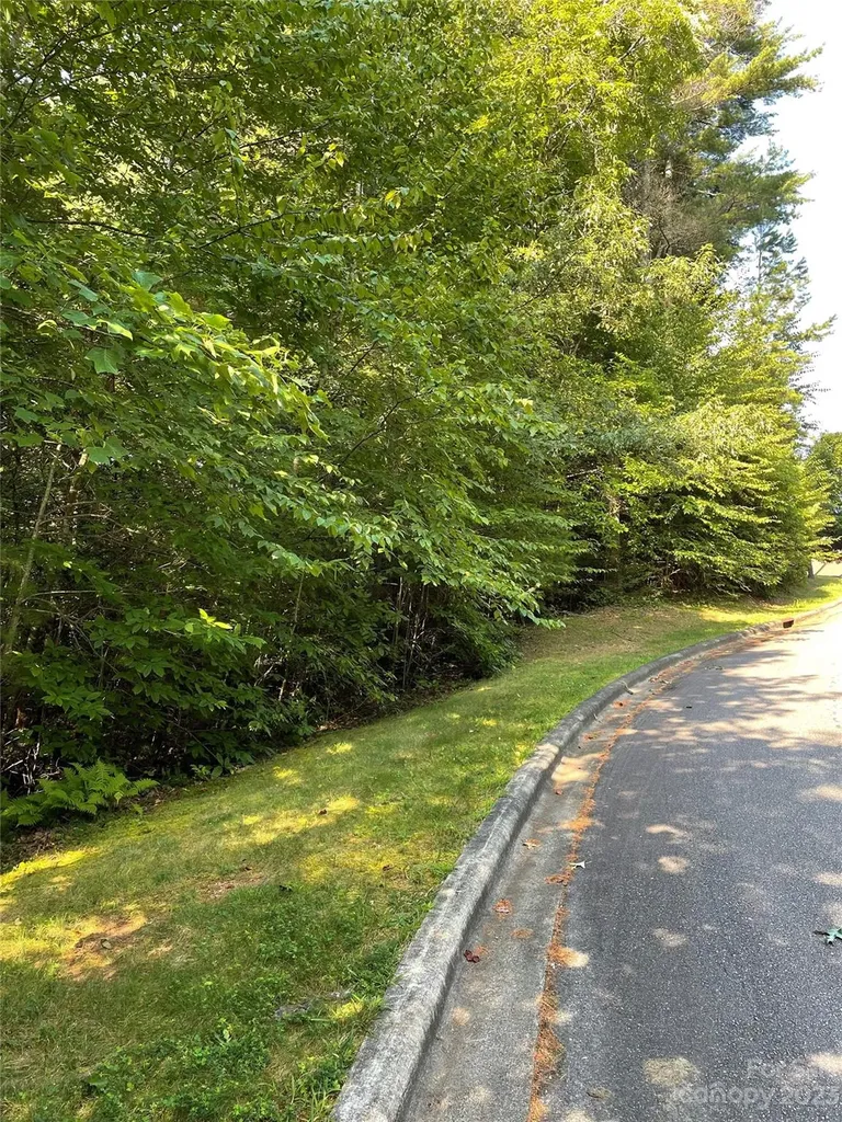 V48&49 Camptown Road Brevard NC 28712