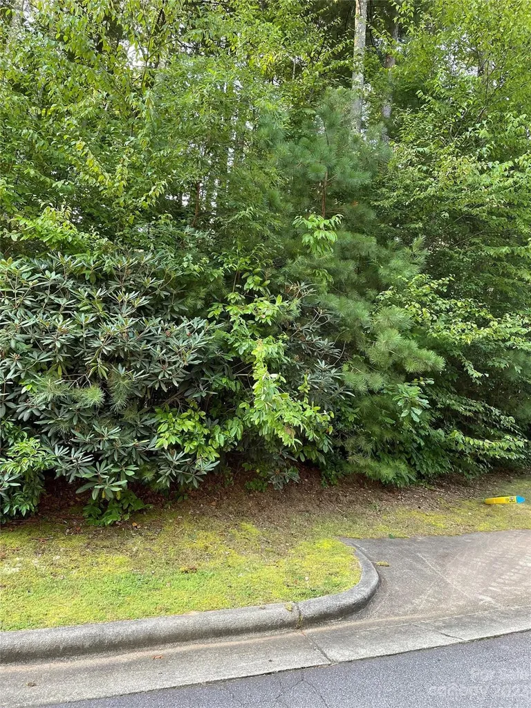 V48&49 Camptown Road Brevard NC 28712