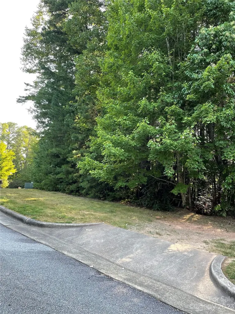 V48&49 Camptown Road Brevard NC 28712